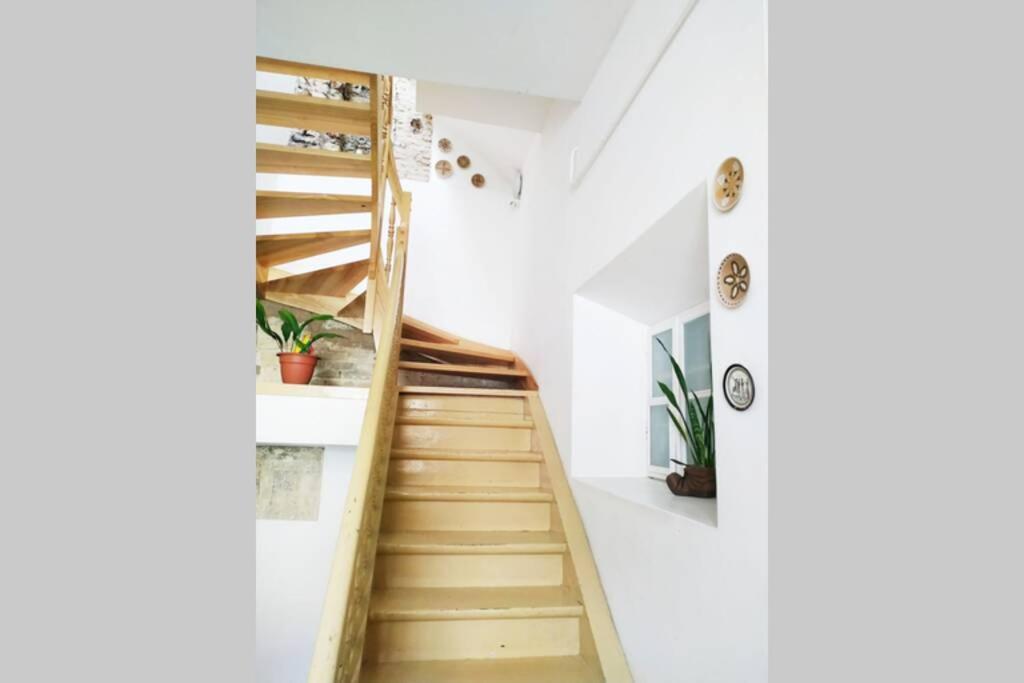 וילנה Private Sauna & 4 Bedrooms Old Town Rooftop Apartment מראה חיצוני תמונה