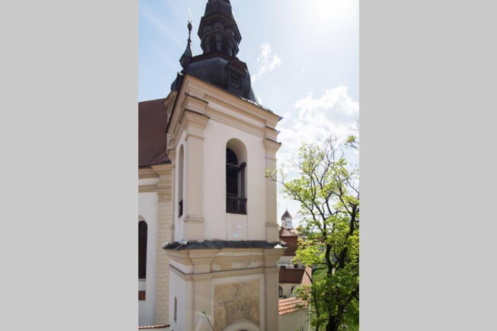 וילנה Private Sauna & 4 Bedrooms Old Town Rooftop Apartment מראה חיצוני תמונה