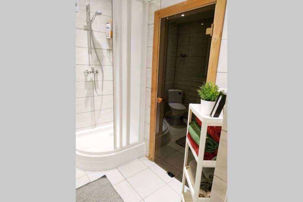 וילנה Private Sauna & 4 Bedrooms Old Town Rooftop Apartment מראה חיצוני תמונה